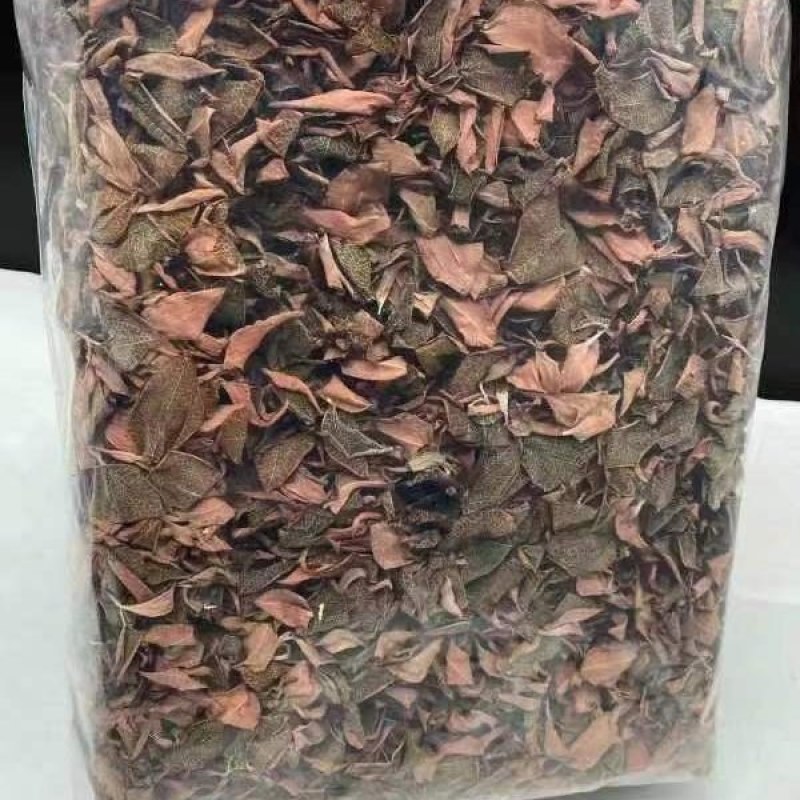 【优选台湾红霞金线莲】大量有货，整株无碎，品质保障