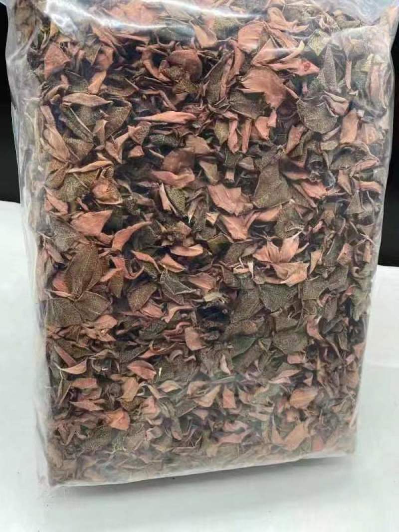 【优选台湾红霞金线莲】大量有货，整株无碎，品质保障