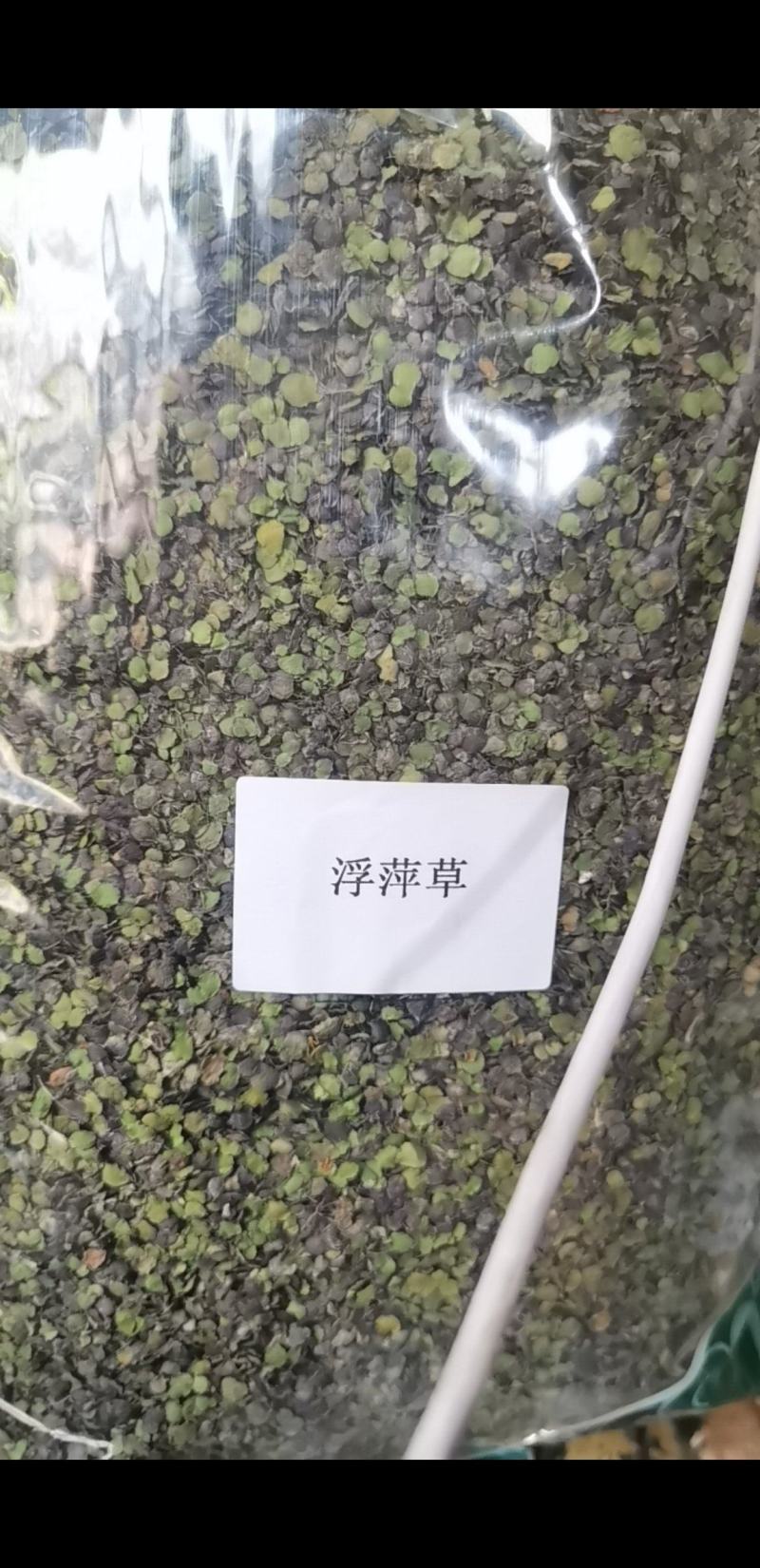 浮萍草江苏1公斤起批无硫无添加不包邮正品