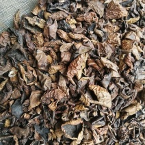 中药材青龙衣核桃青皮