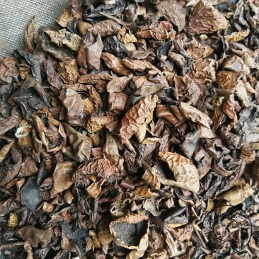 中药材青龙衣核桃青皮