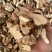 土茯苓