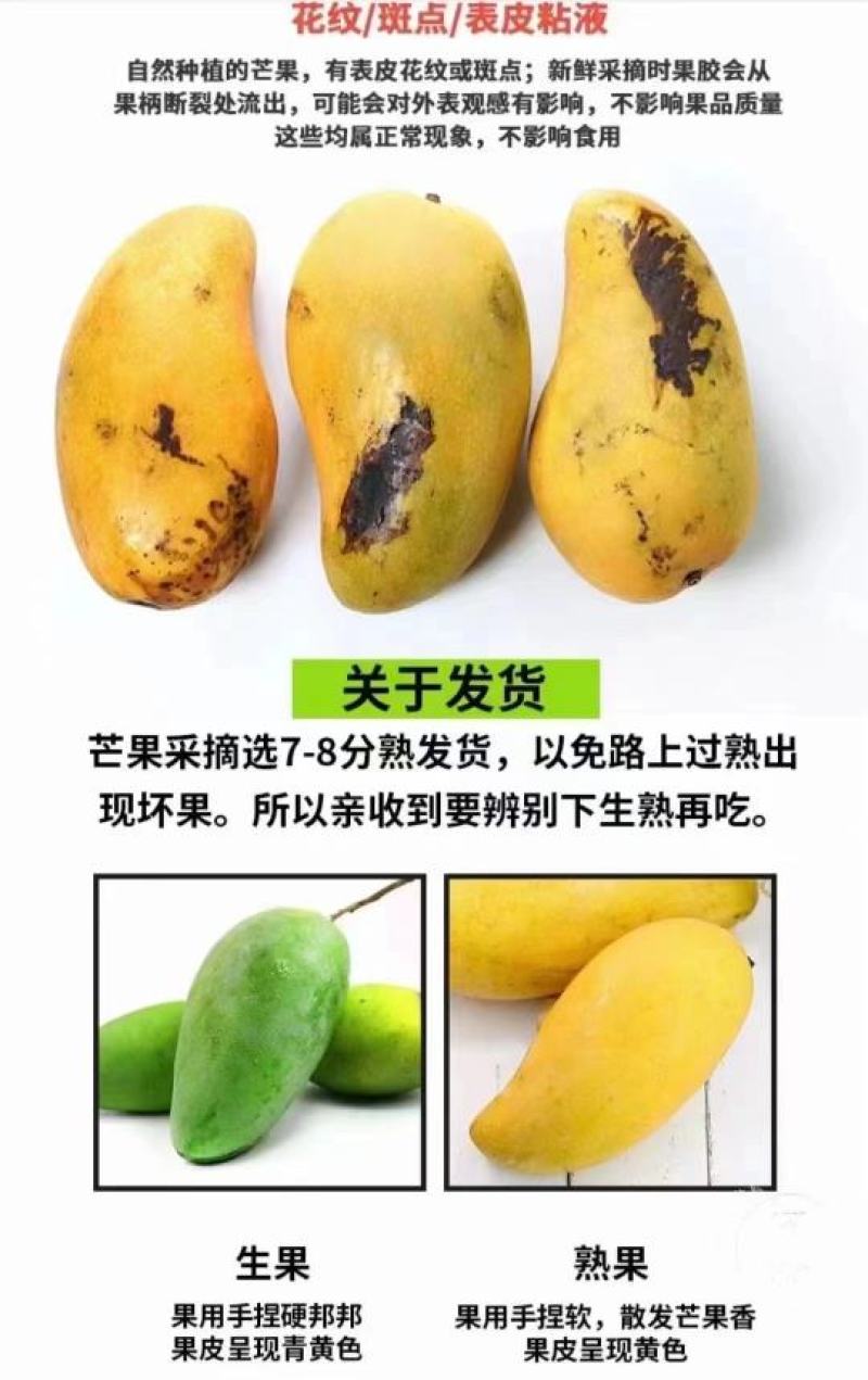 【包邮】金煌芒金煌芒小果价格实惠10斤装小果100元3件