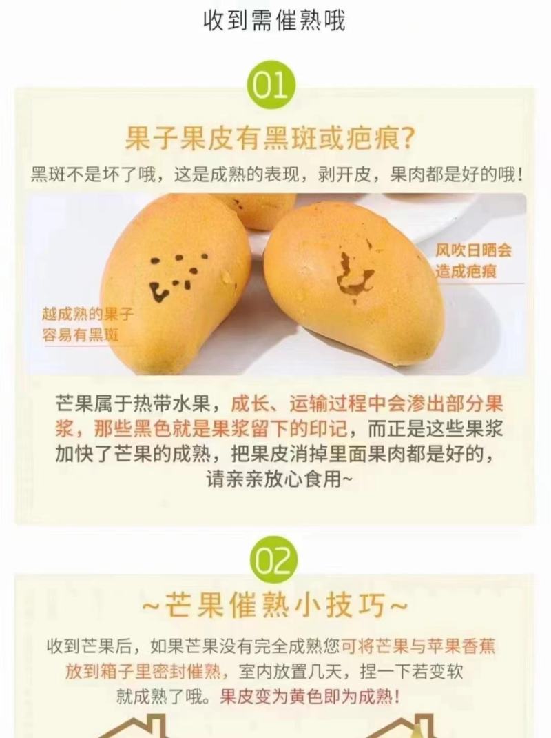 【包邮】金煌芒金煌芒小果价格实惠10斤装小果100元3件