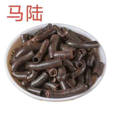 中药材马陆山蛩虫百节虫