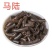 中药材马陆山蛩虫百节虫