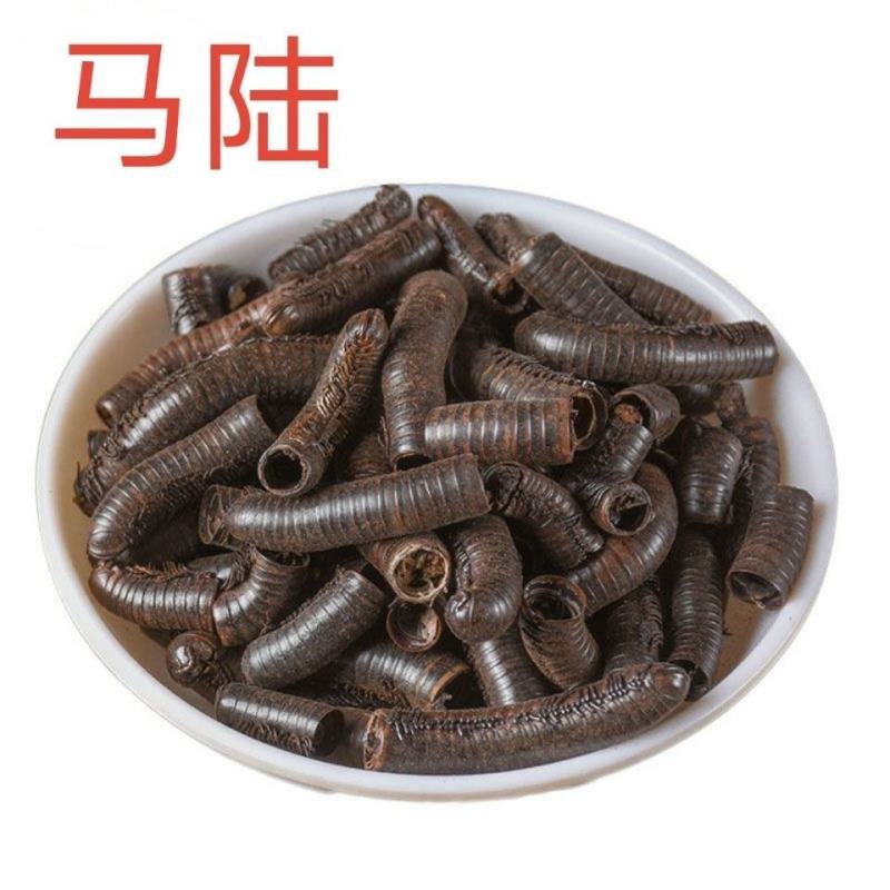 中药材马陆山蛩虫百节虫