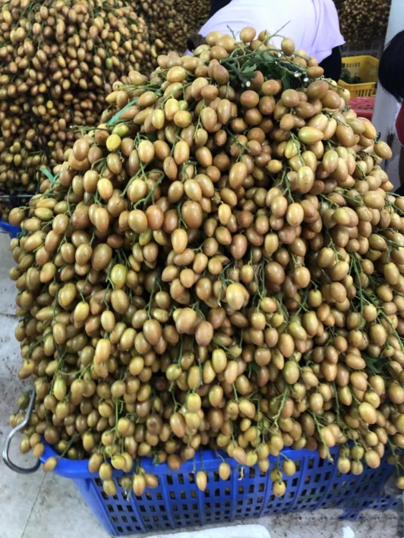 广西平南黄皮果，产地直发大量有货欢迎电话联系沟通洽谈合作