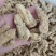 大别山野生鸡头精