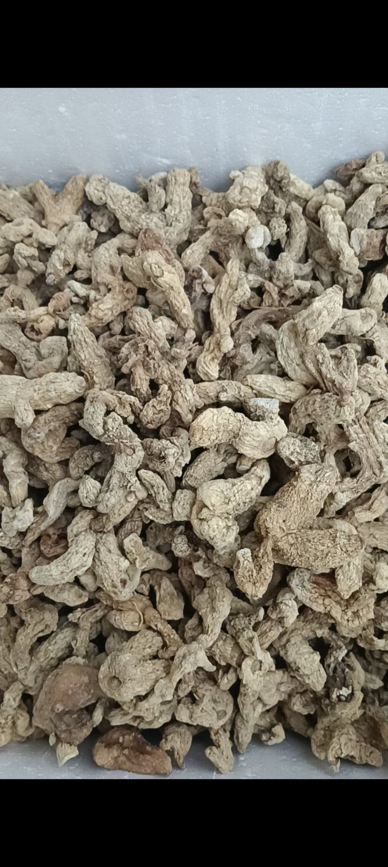 大别山野生鸡头精