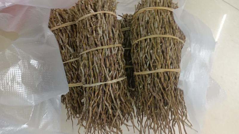 石斛铁皮石斛紫皮石斛各种名贵药材源于大自然的馈赠一手货源