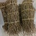 石斛铁皮石斛紫皮石斛各种名贵药材源于大自然的馈赠一手货源