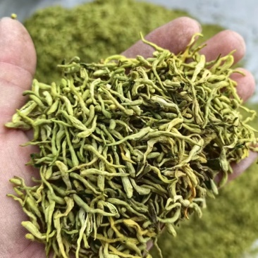 金银花