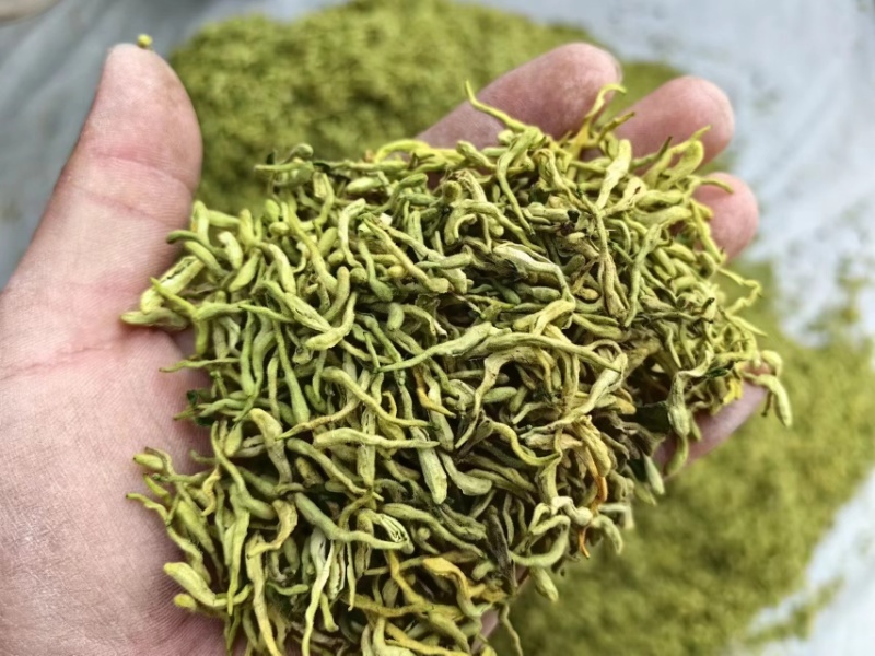 金银花