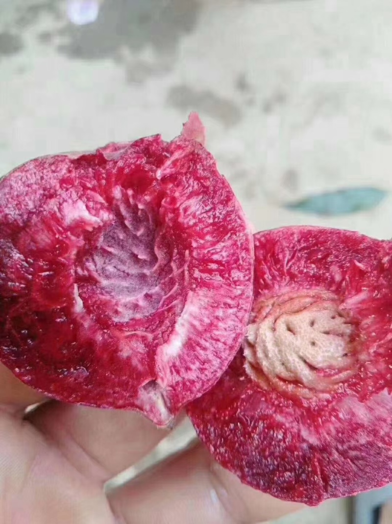 朱砂红桃，血桃