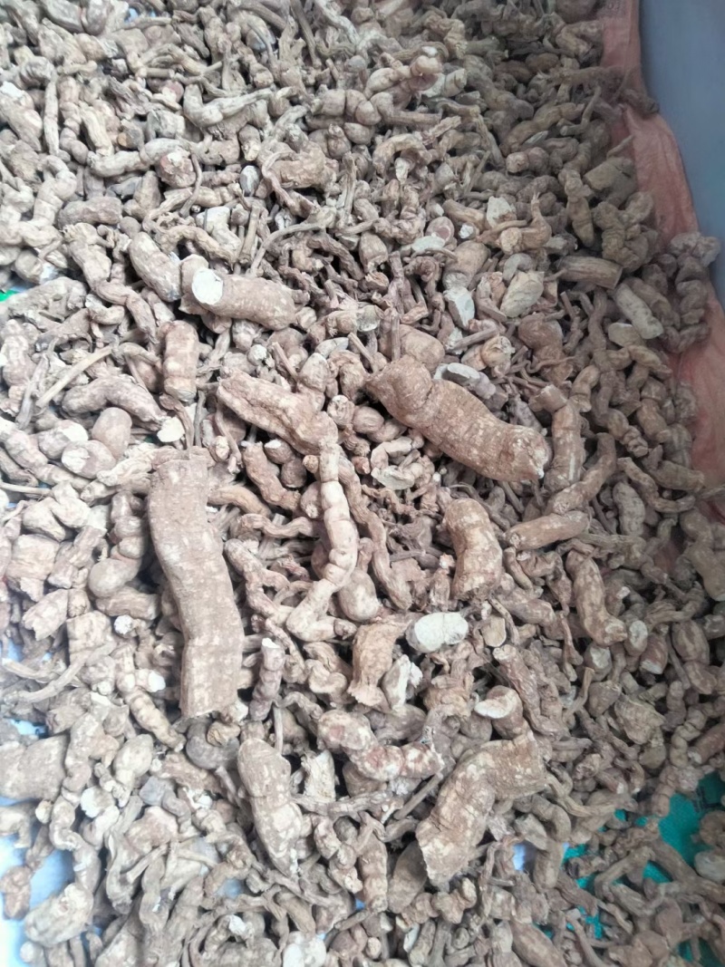 江西本地粉防己大量货源规格齐全欢迎电话联系