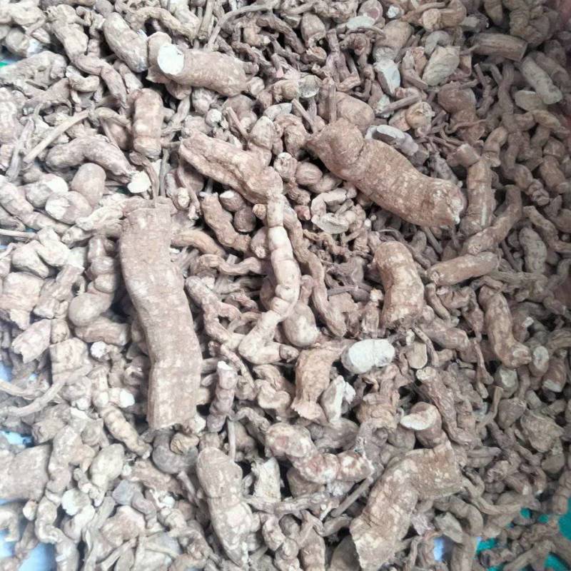 江西本地粉防己大量货源规格齐全欢迎电话联系