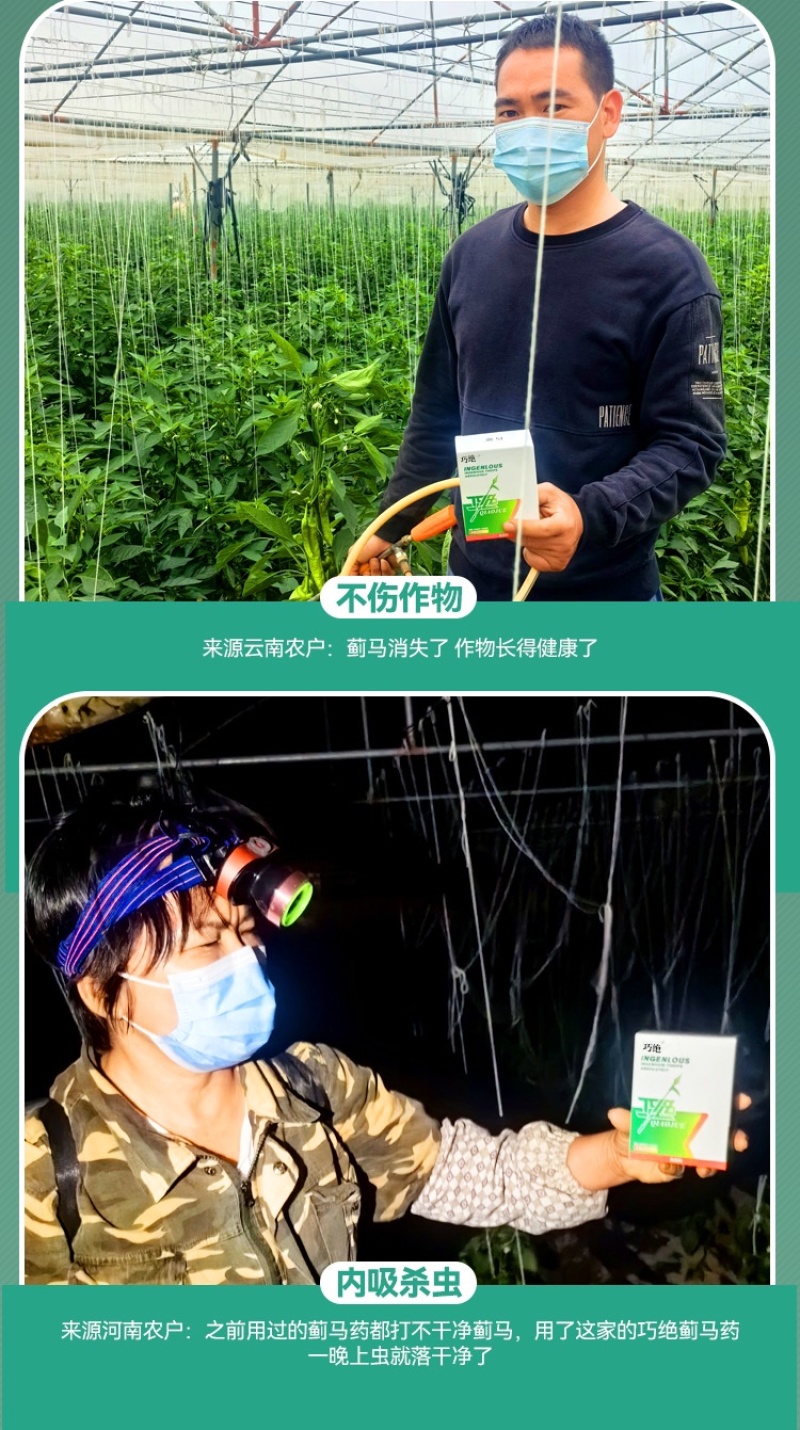 针对抗性蓟马专用药渗透内吸性强各类作物通用不易产生抗性