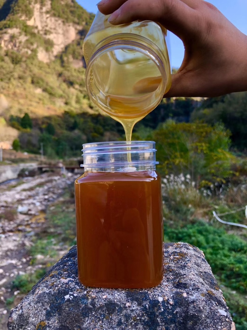 中蜂土蜂蜜质量保证100纯波美度42以上，走量请联系我