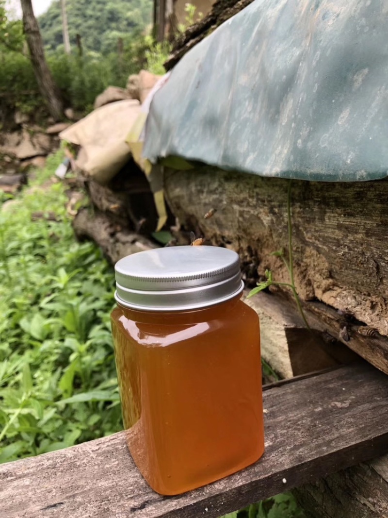 中蜂土蜂蜜质量保证100纯波美度42以上，走量请联系我
