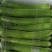 【推荐】瓠瓜精品吊卜大量上市保质保量欢迎选购