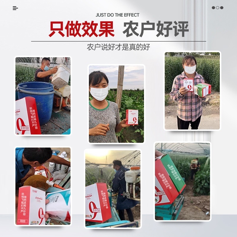抗性白粉虱专用前打后落虫卵兼杀持效期长安全高效