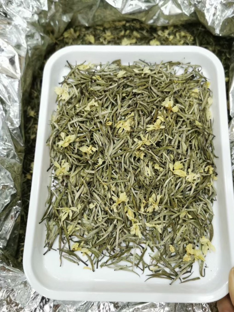 茉莉花茶茉莉银针批发贵州湄潭雀舌广西横县茉莉花