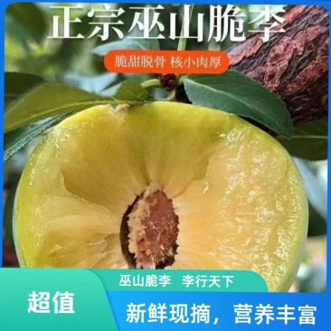 巫山脆李