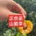 巫山脆李