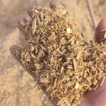 纯正栗子木木屑，香菇食用菌理想用料