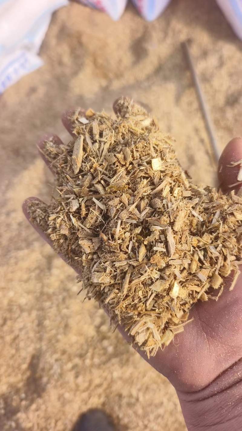 纯正栗子木木屑，香菇食用菌理想用料