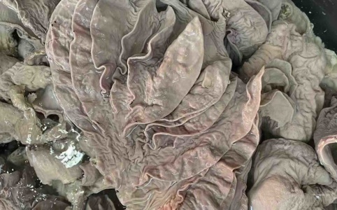 东莞牛副产品