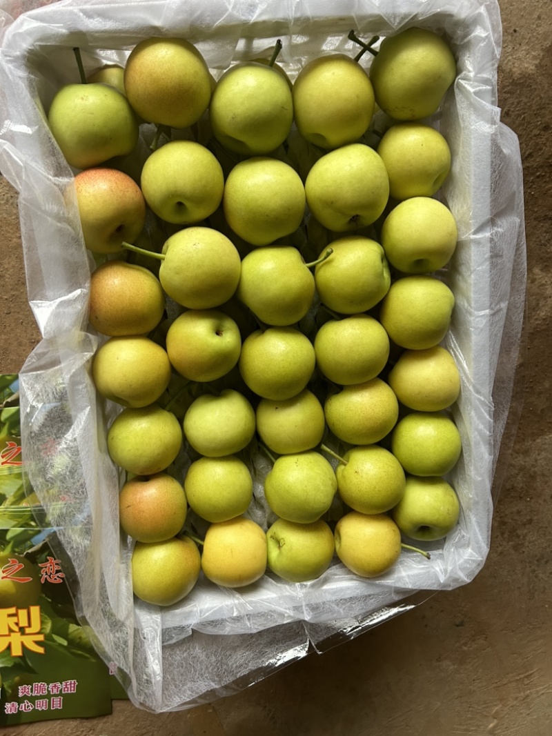 蜂糖蜜梨