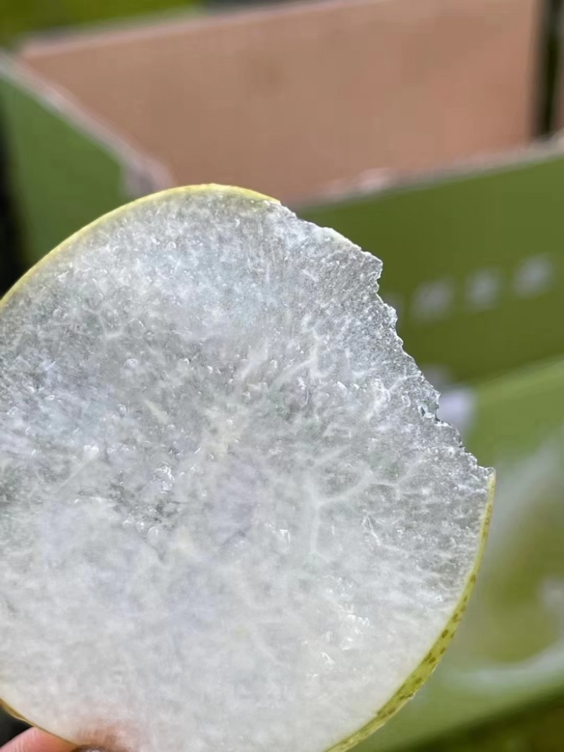 蜂糖蜜梨