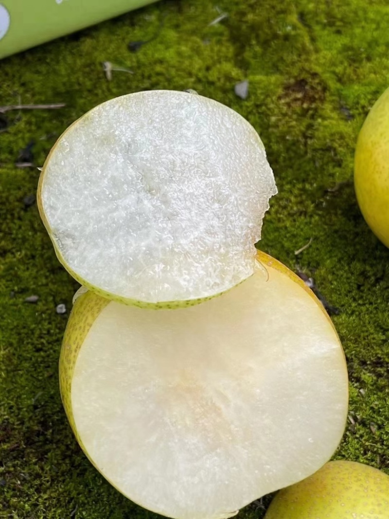 蜂糖蜜梨
