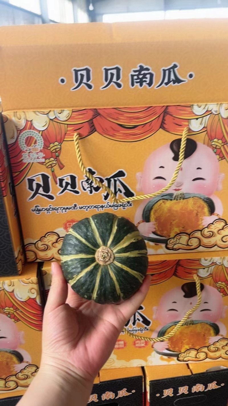 沙漠南瓜礼盒装粉糯香甜对接各大电商社区团超市出口