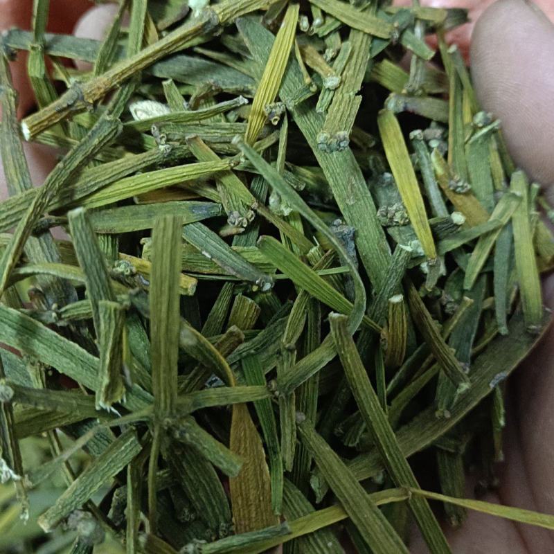 槲寄生，扁寄生，螃蟹脚寄生