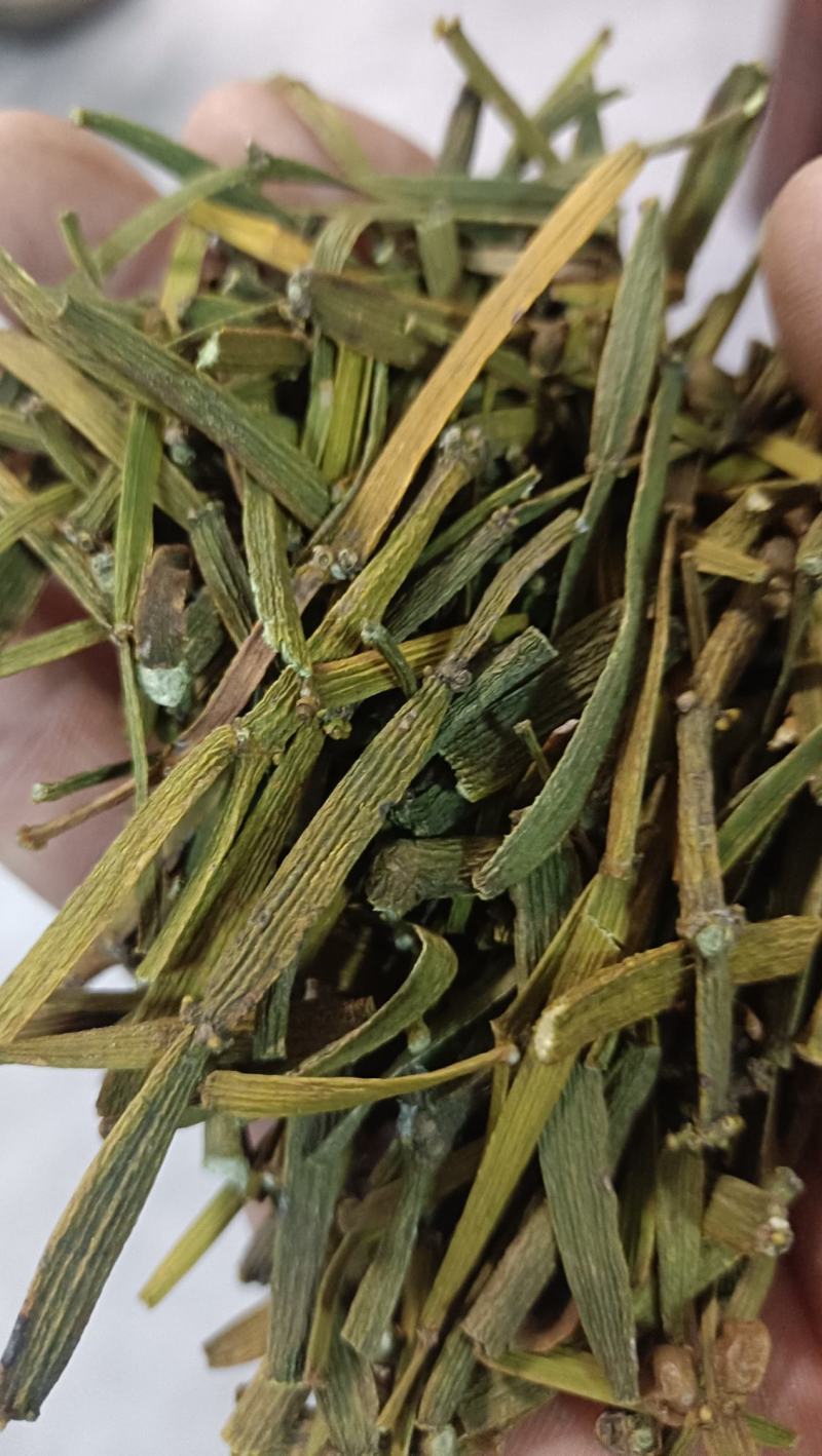 槲寄生，扁寄生，螃蟹脚寄生
