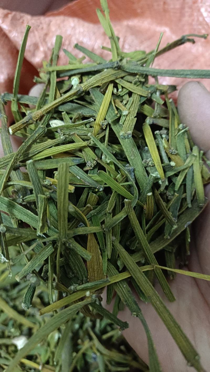 槲寄生，扁寄生，螃蟹脚寄生