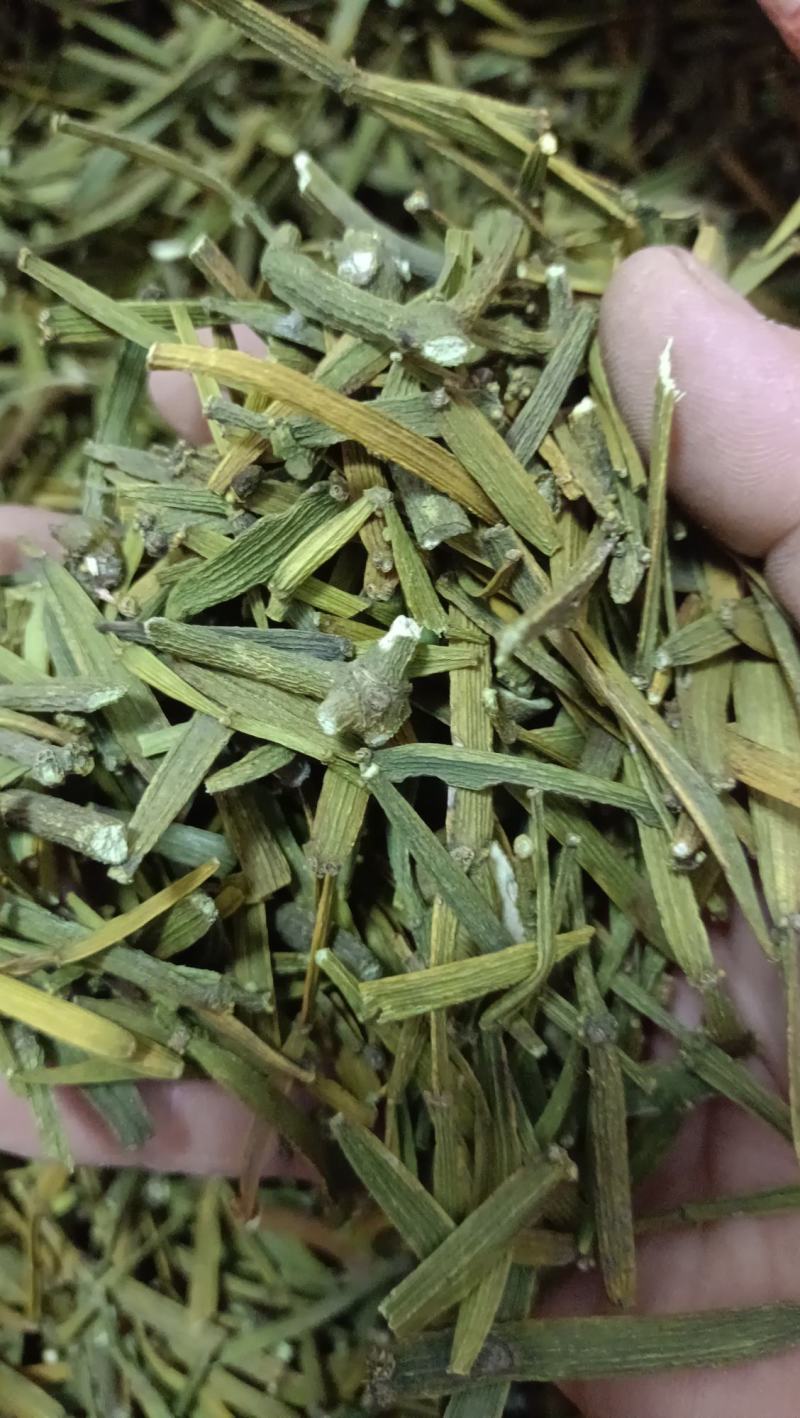 槲寄生，扁寄生，螃蟹脚寄生