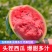 【产地特价】河北大量甜王西瓜上市中量大从优包熟包甜