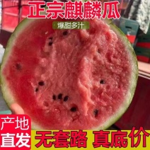 【精选】河北麒麟甜王西瓜无籽甜度高量大从优