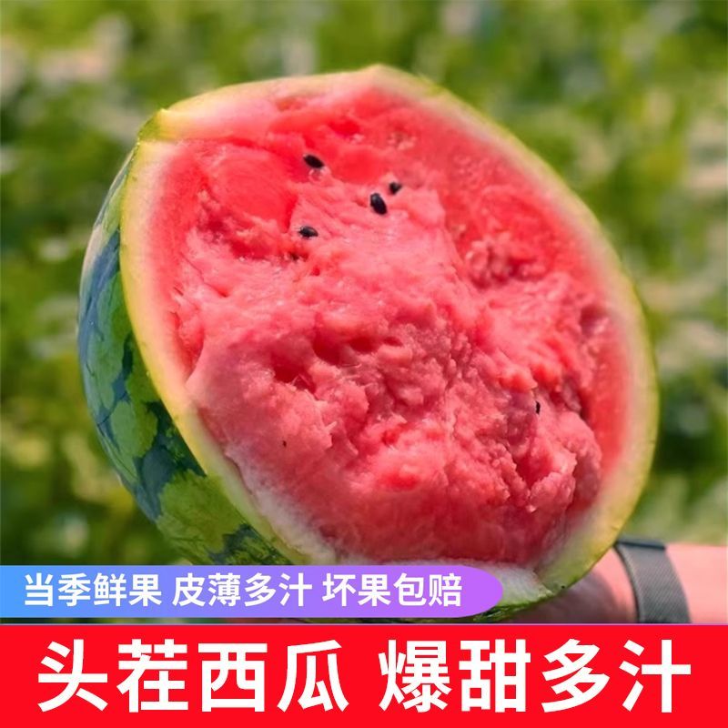【精选】河北麒麟甜王西瓜无籽甜度高量大从优