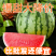 【精选】河北麒麟甜王西瓜无籽甜度高量大从优