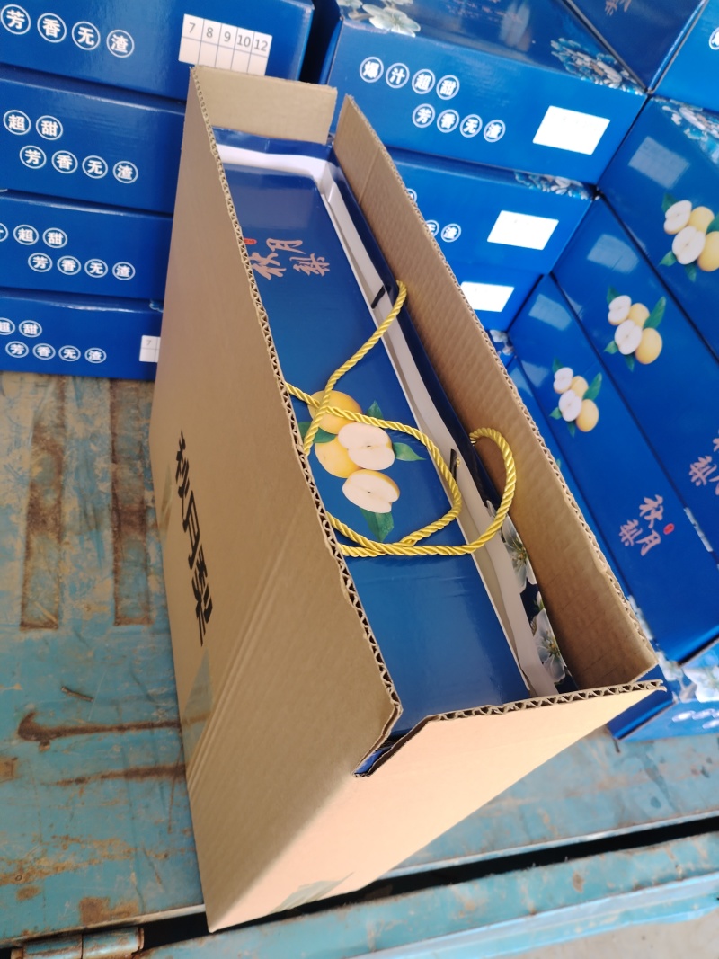 冠县精品丰水梨，皇冠梨/可供超市/可对接电商/全国发货