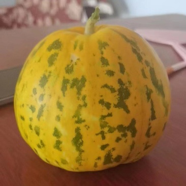 花蜜甜瓜