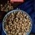 【怀牛膝】中药材怀牛膝牛夕牛膝无硫牛膝当季新货包邮