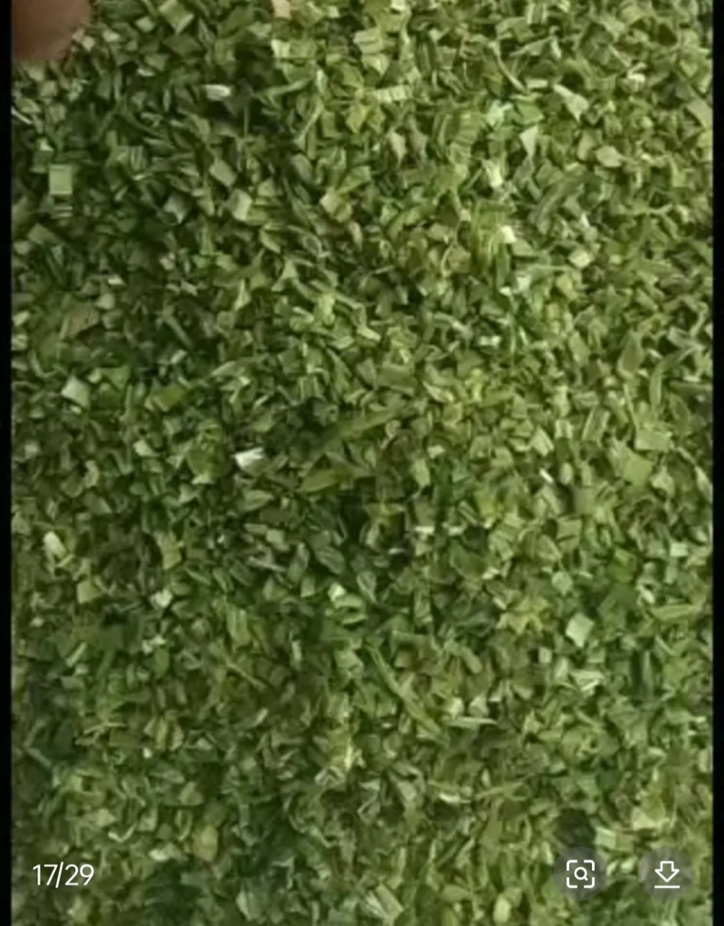 贡菜干贡菜颗粒贡菜段三到四厘米，贡菜段十厘米