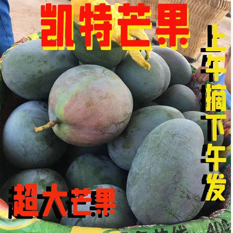 攀枝花凯特芒果批发大芒果3/5/9斤装整箱包邮非金煌芒