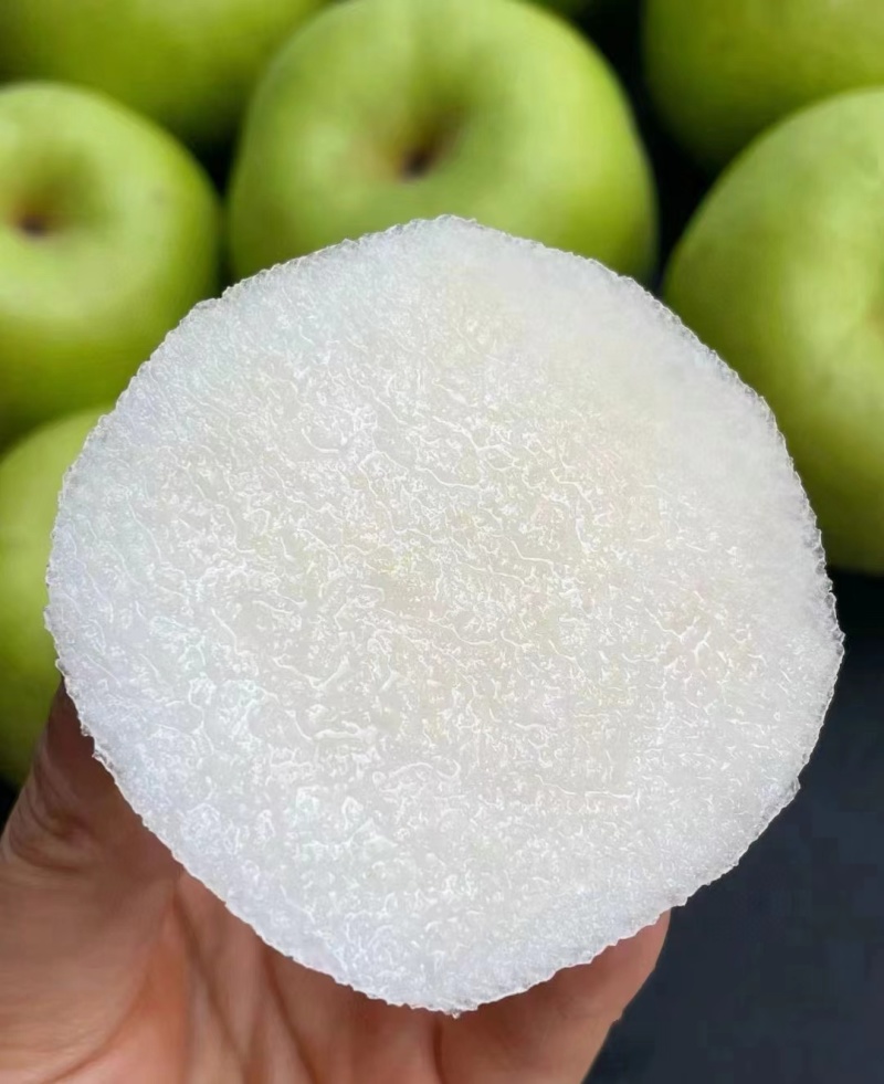 砀山县酥脆一号梨，光果梨。大量上市产地直发可视频看货
